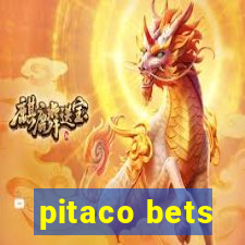 pitaco bets